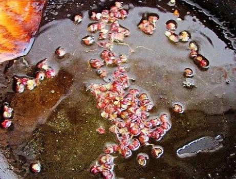 醋溜白菜,需要焯水吗?厨师长:很多人不懂,难怪白菜软烂不好吃