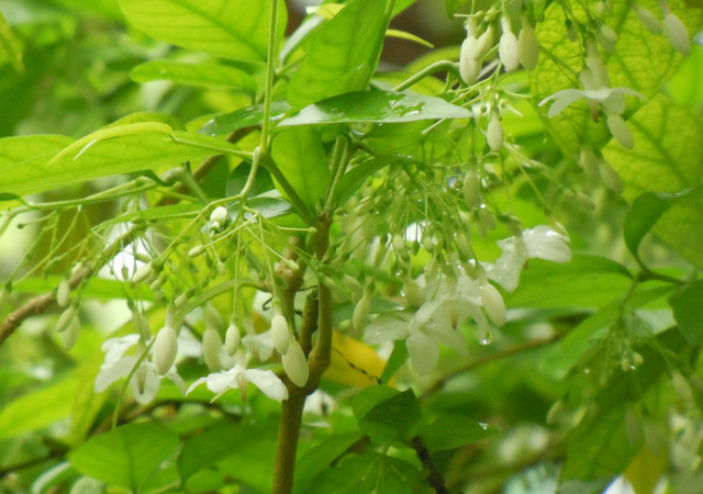 笔- 热门商品专区