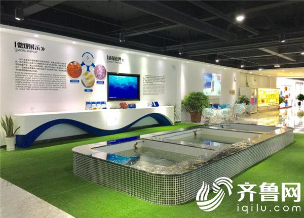 媒眼看烟台:东方海洋"放牧"烟台海 引领现代渔业建设