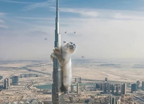 巨型猫咪入侵地球系列图片,网友:都是真的毕竟猫不会ps