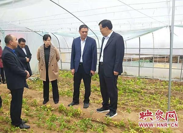 秦保强到尉氏县庄头镇调研农业产业化发展情况