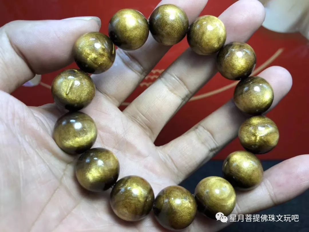 新手了解海柳真假的知识贴!