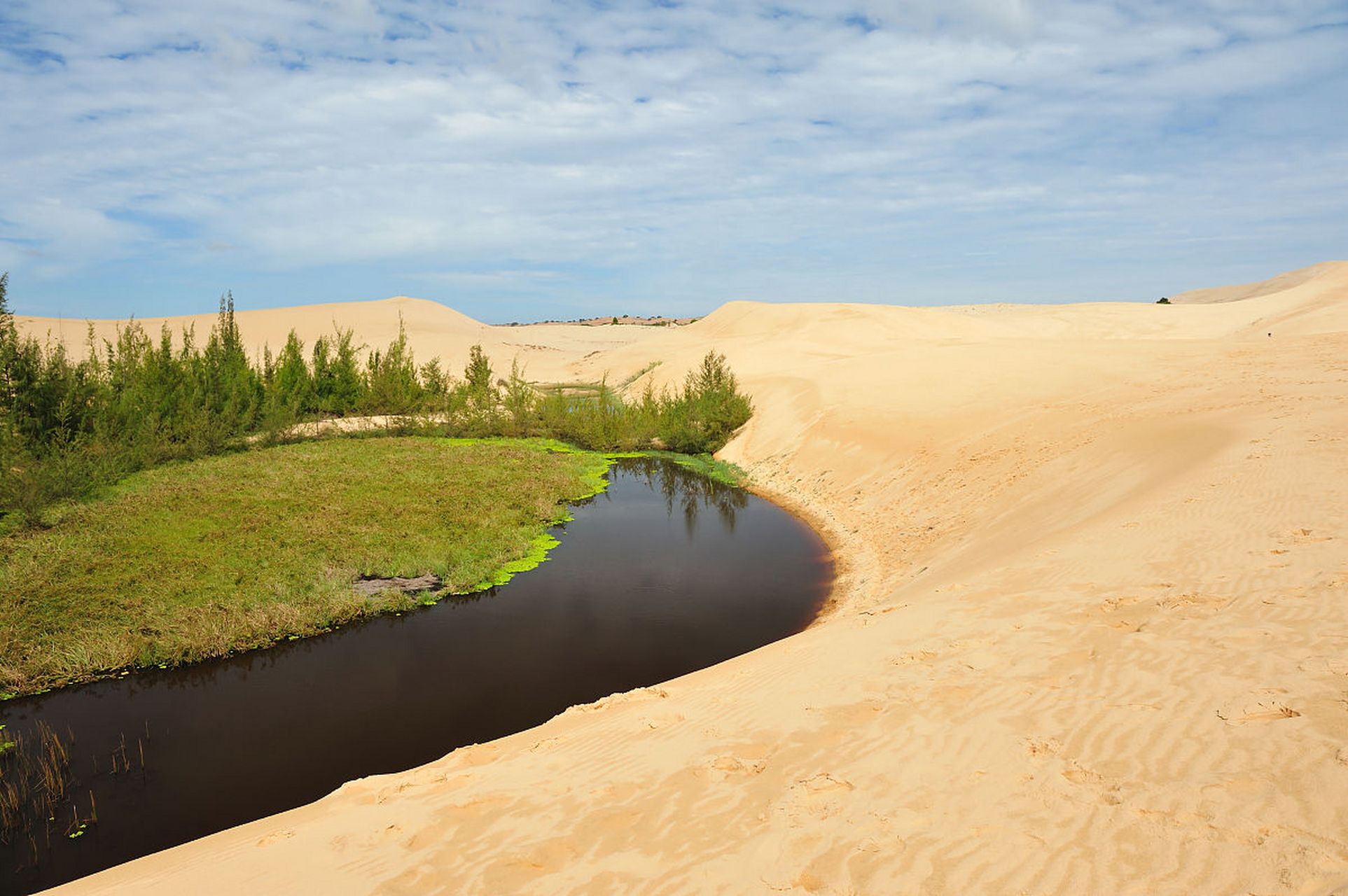 武威沙漠公园位于中国甘肃省武威市,是一个集沙漠景观,生态旅游和科普