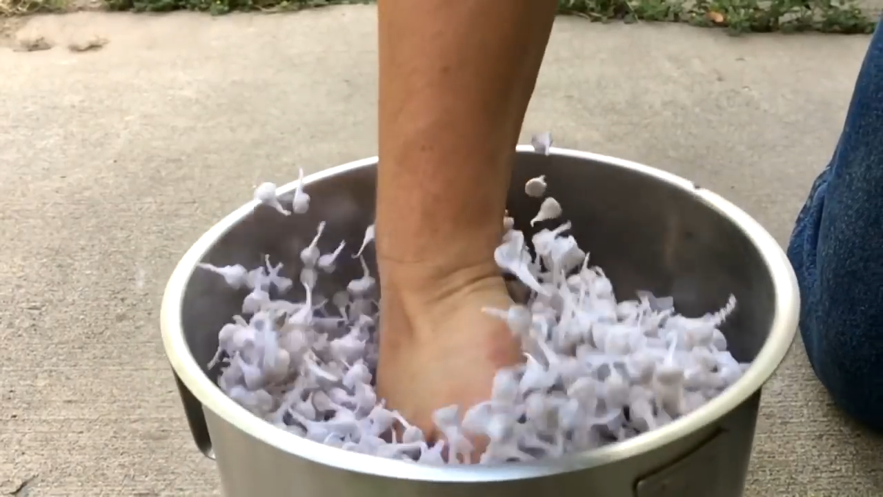 摔炮里竟然能提炼出白银,说完你信么?