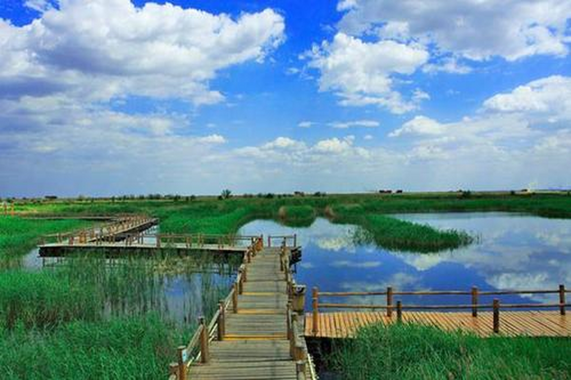 南海湿地景区位于内蒙古包头城区东南侧,黄河之滨,占地面积2992公顷