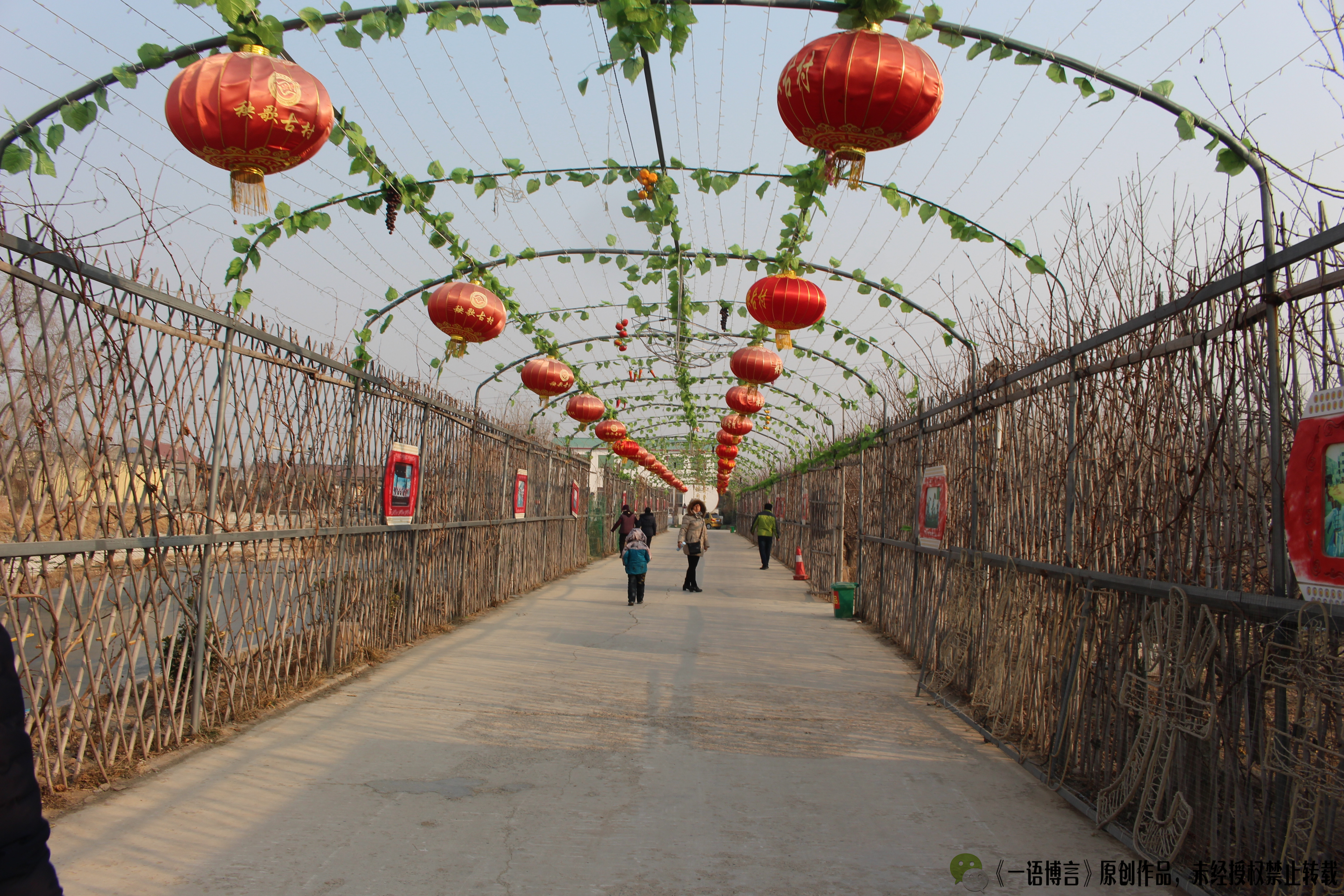 山东商河2a级旅游景点——秧歌古村,载歌载舞庆丰收