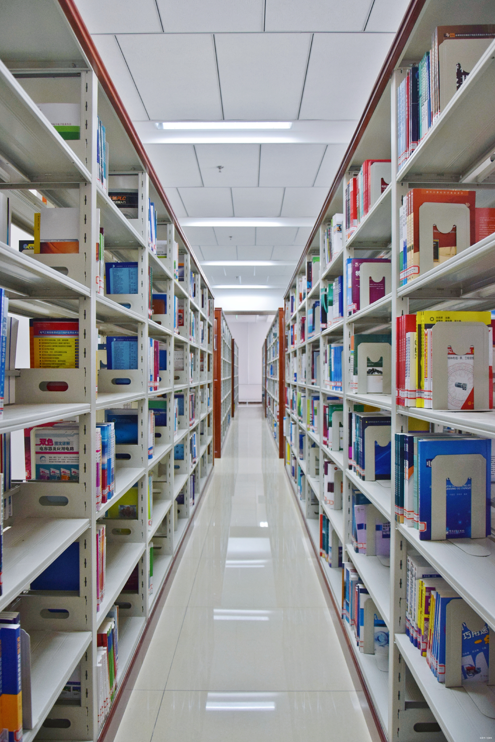 天津農學院圖書館新館