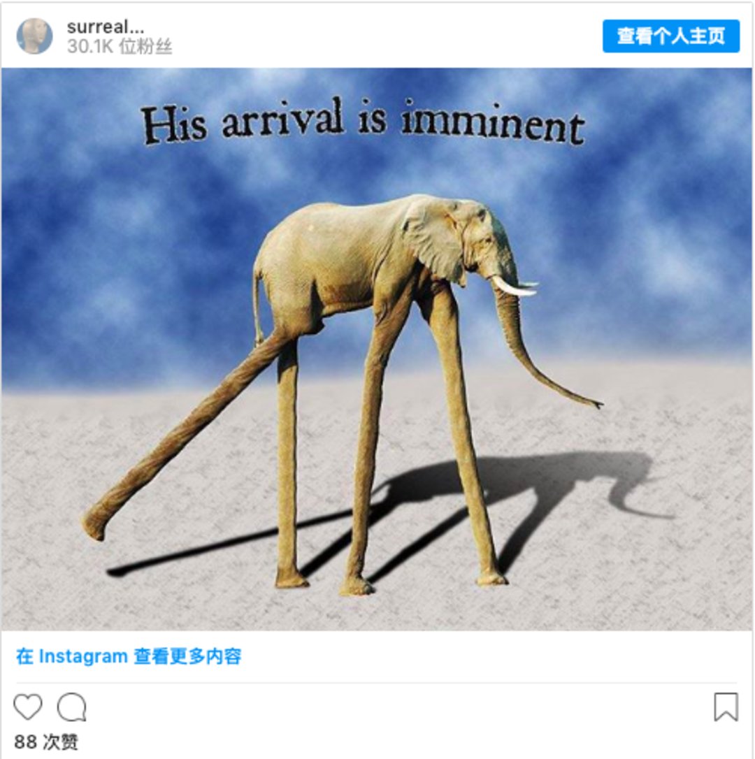 meme:meme 界还分流派,超现实派特别高冷