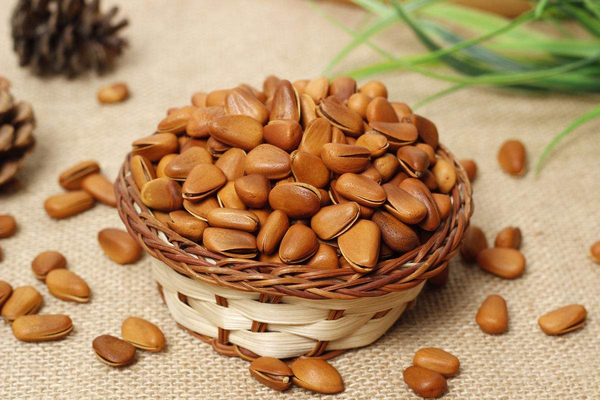 秋季养生,坚果正当时