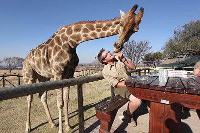 南非:之前17岁男孩追寻祖先足迹骑长颈鹿,人与动物和谐相处