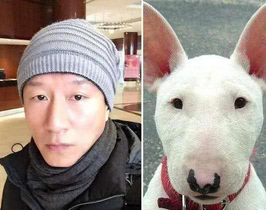 史上最全的男明星合集相似指数大pk,最后一张网友笑哭在厕所!