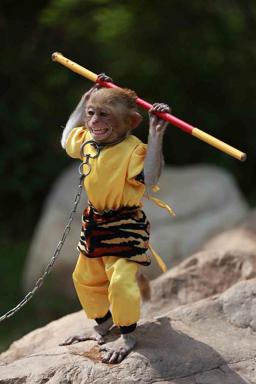 我眼中的十大名著排行:《金瓶梅》第三,《三国演义》