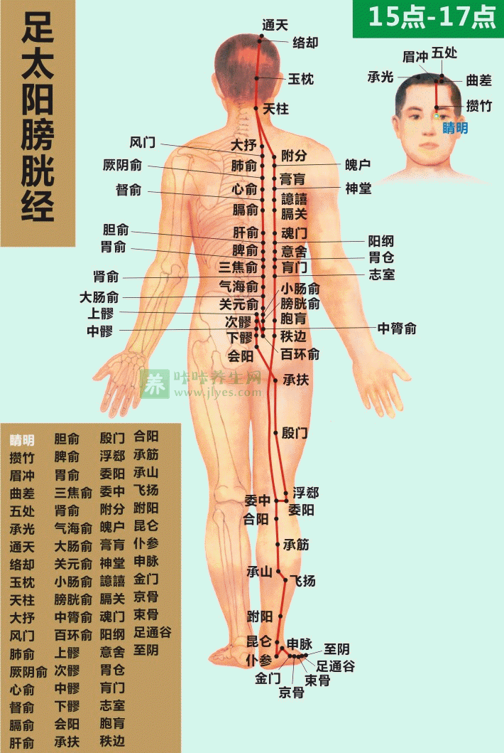 经络养生知识介绍