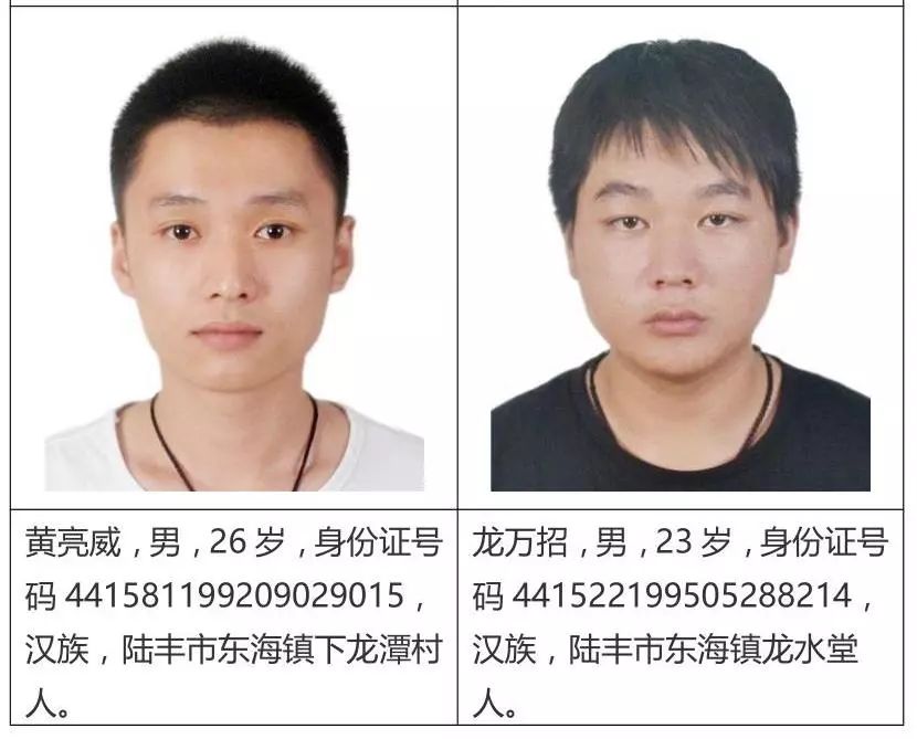 关于检举揭发杨淡科等人违法犯罪行为的通告