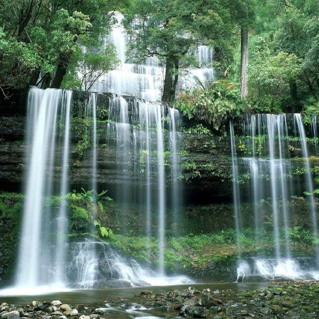 封神演义:子虚为救苏妲己,逼出千年内丹,法力瞬