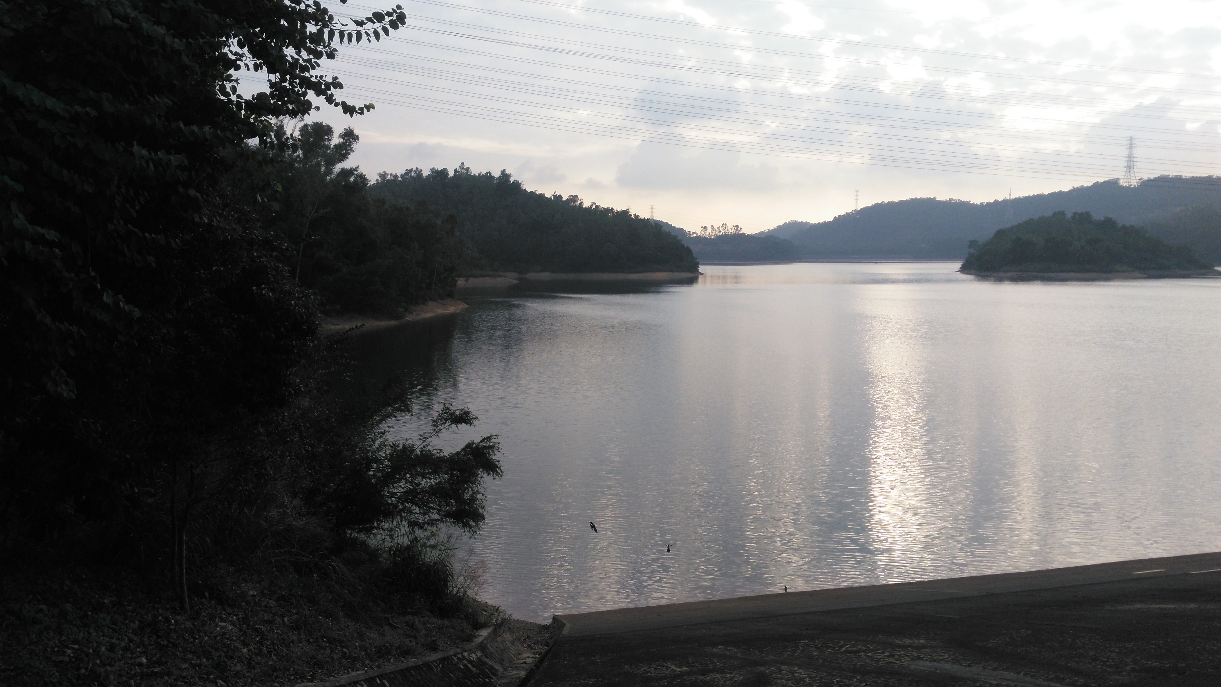 在深圳龙岗体育中心旁边,原来还藏着一个龙口水库,你知道吗?