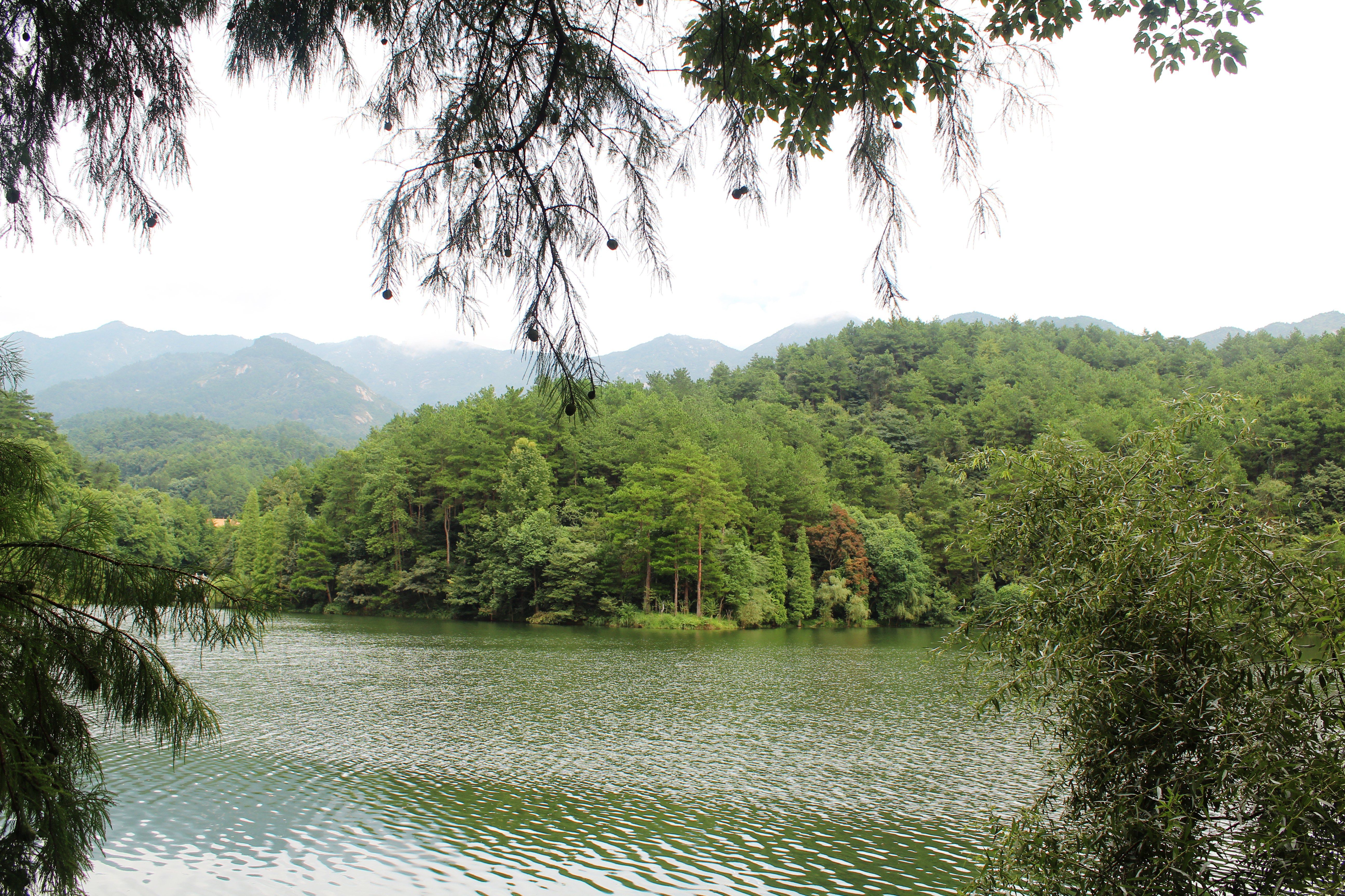 你去过荆州长江公路大桥吗?湖北·荆州还有更多的景点值得游览