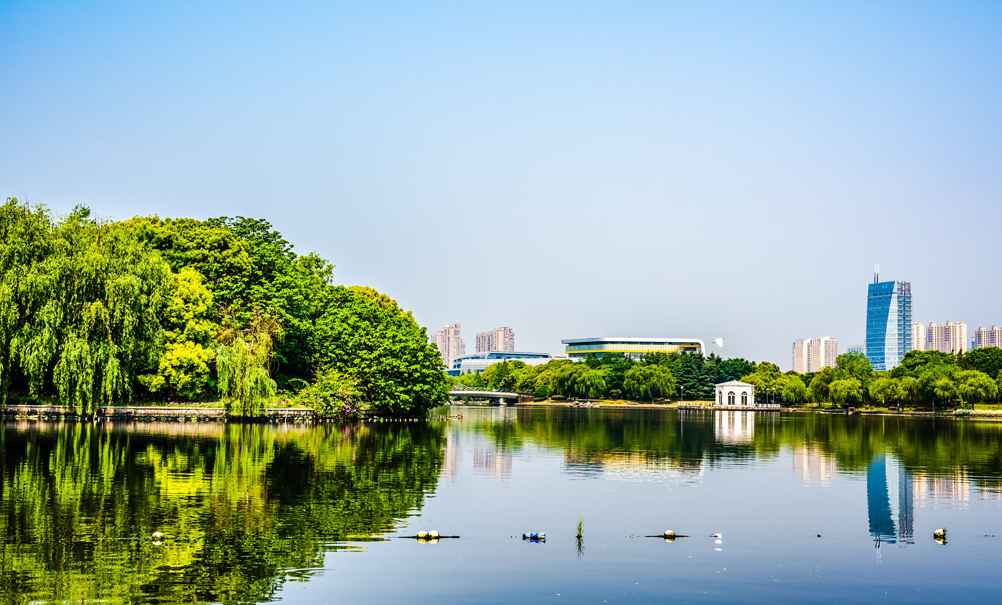 上海汽车博览公园虽然是一个以汽车为名字,汽车为主题的公园.