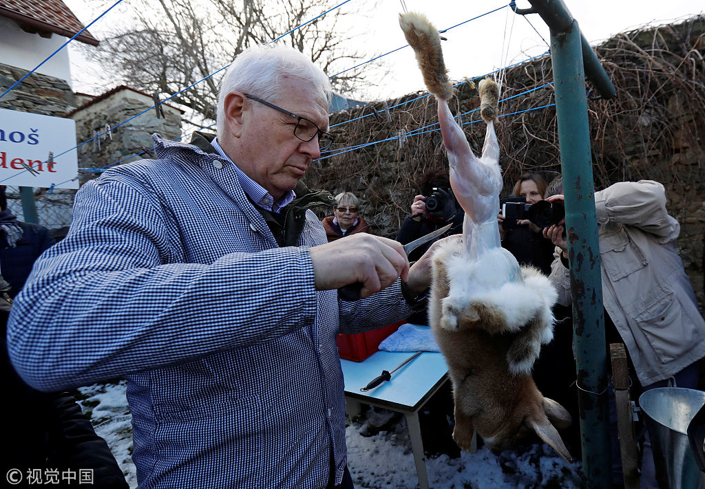 拉票方式略重口 捷克总统候选人访问农场展示剥兔子皮刀功