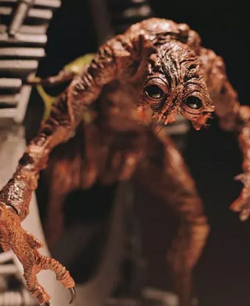 大卫·柯南伯格:cult大师的任性与纯真