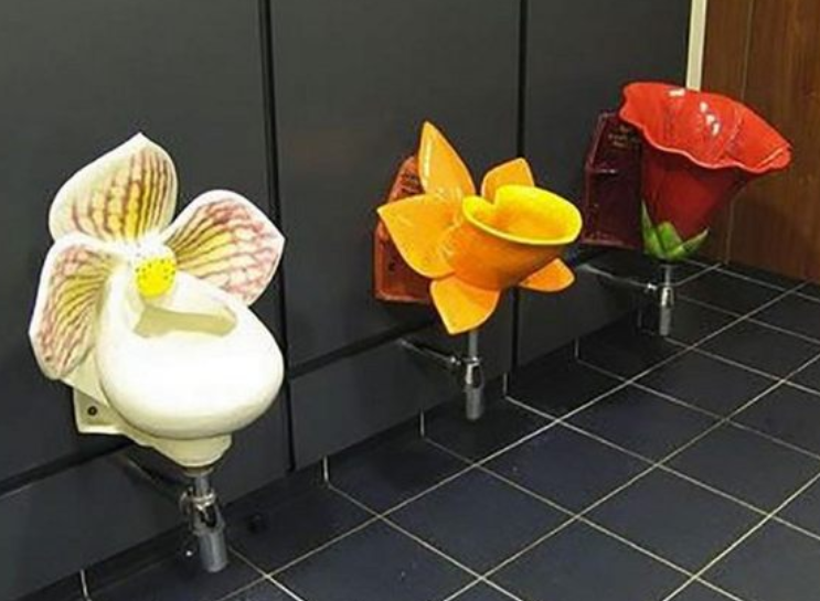 世上最"奇葩"的厕所,图2简直是视觉享受,图4最令人害羞!