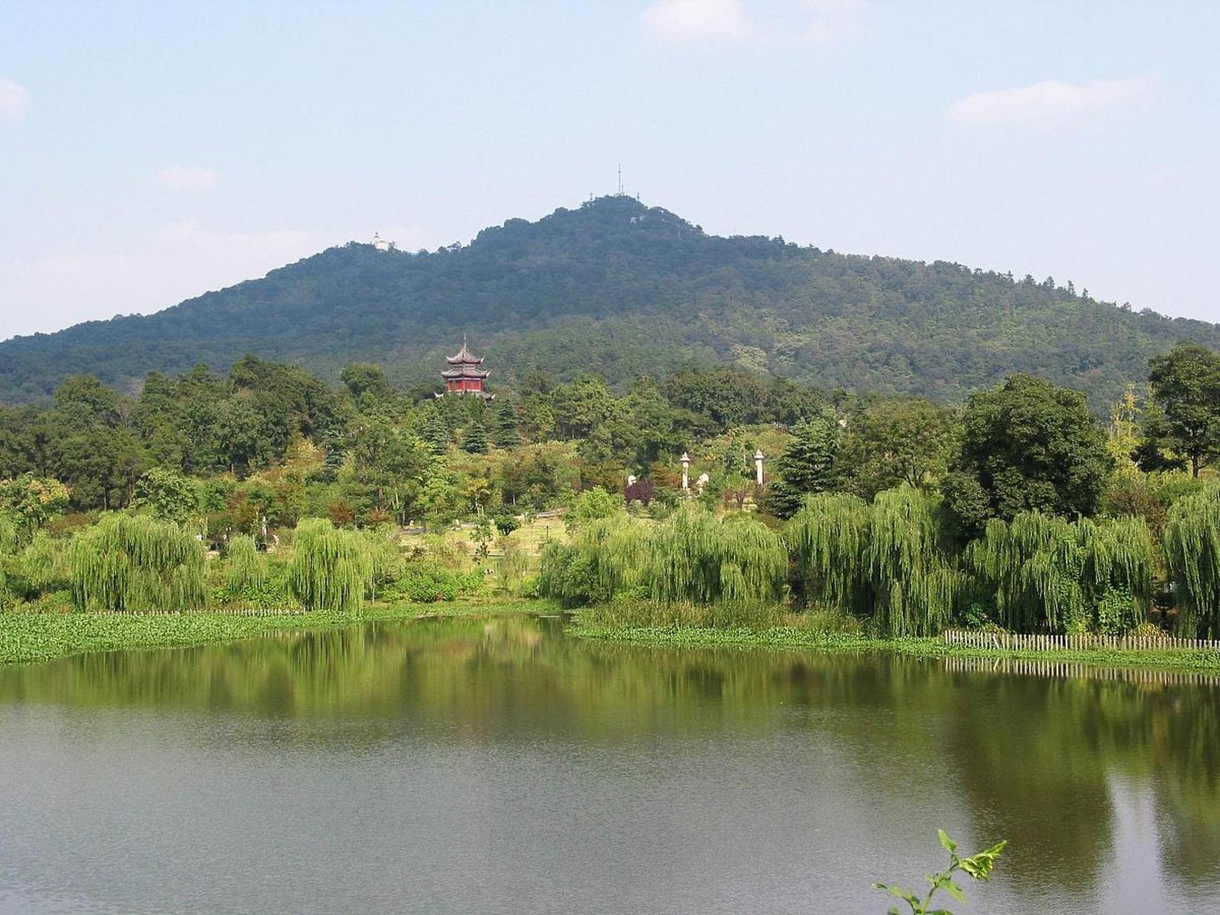 美好生活家# #旅游攻略# 上方山森林公园生长着华北地区少见的原始