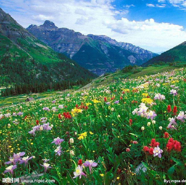 韩剧《原来是美男啊》主题曲《默默无语》真的