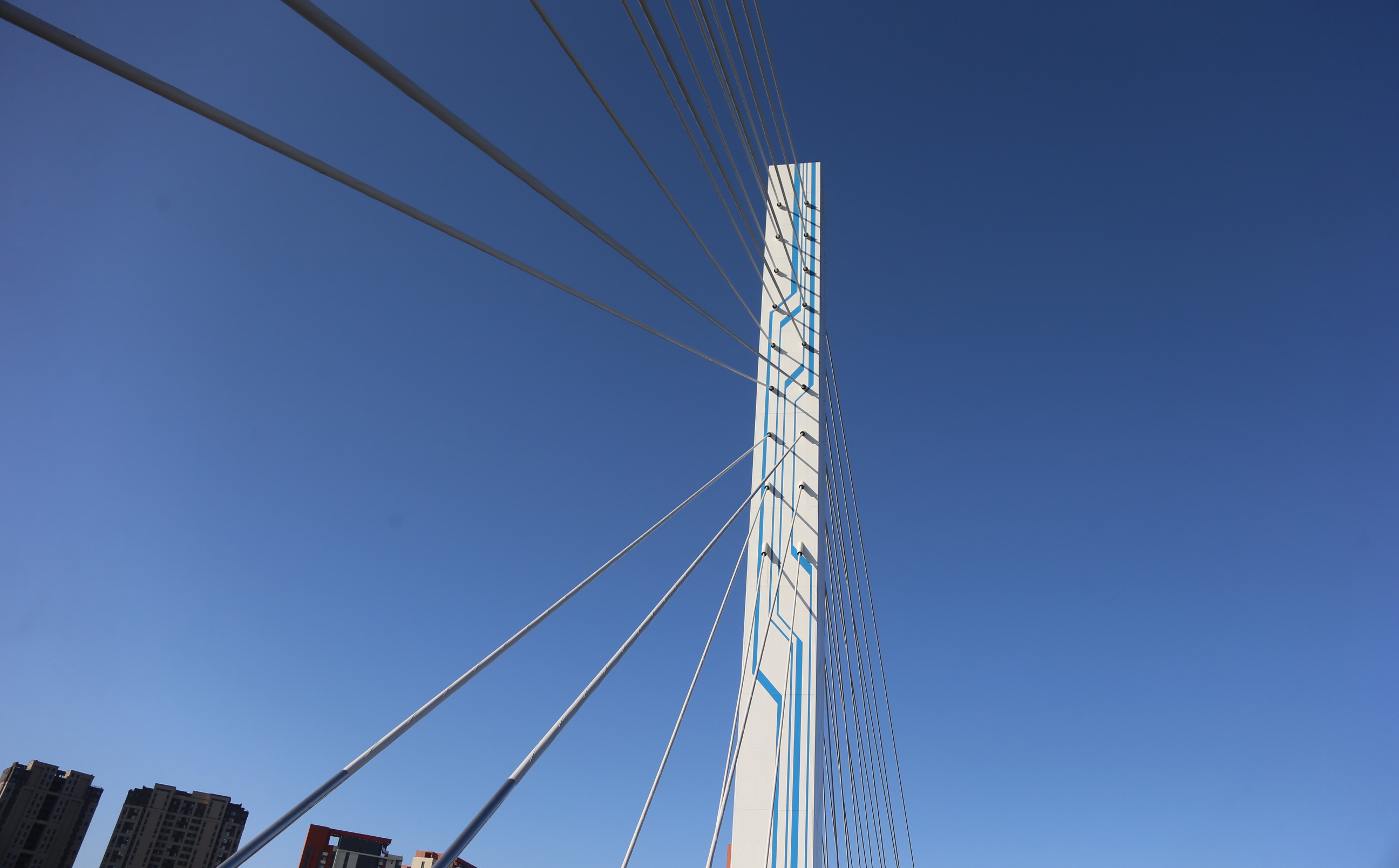 大连河口湾大桥竣工通车,参建单位与港珠澳大桥相同