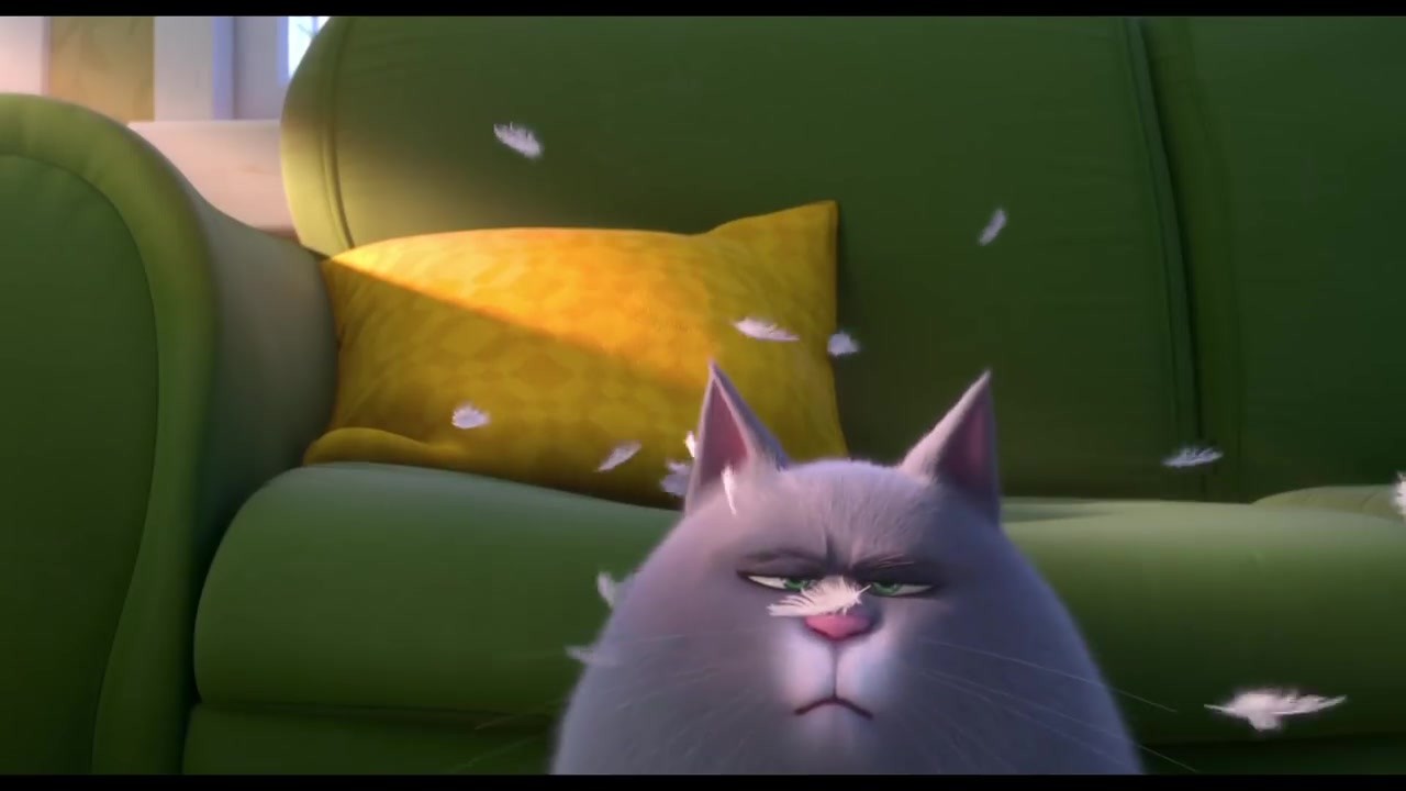 《爱宠大机密2》喵版预告,猫咪叫你起床有多辛苦