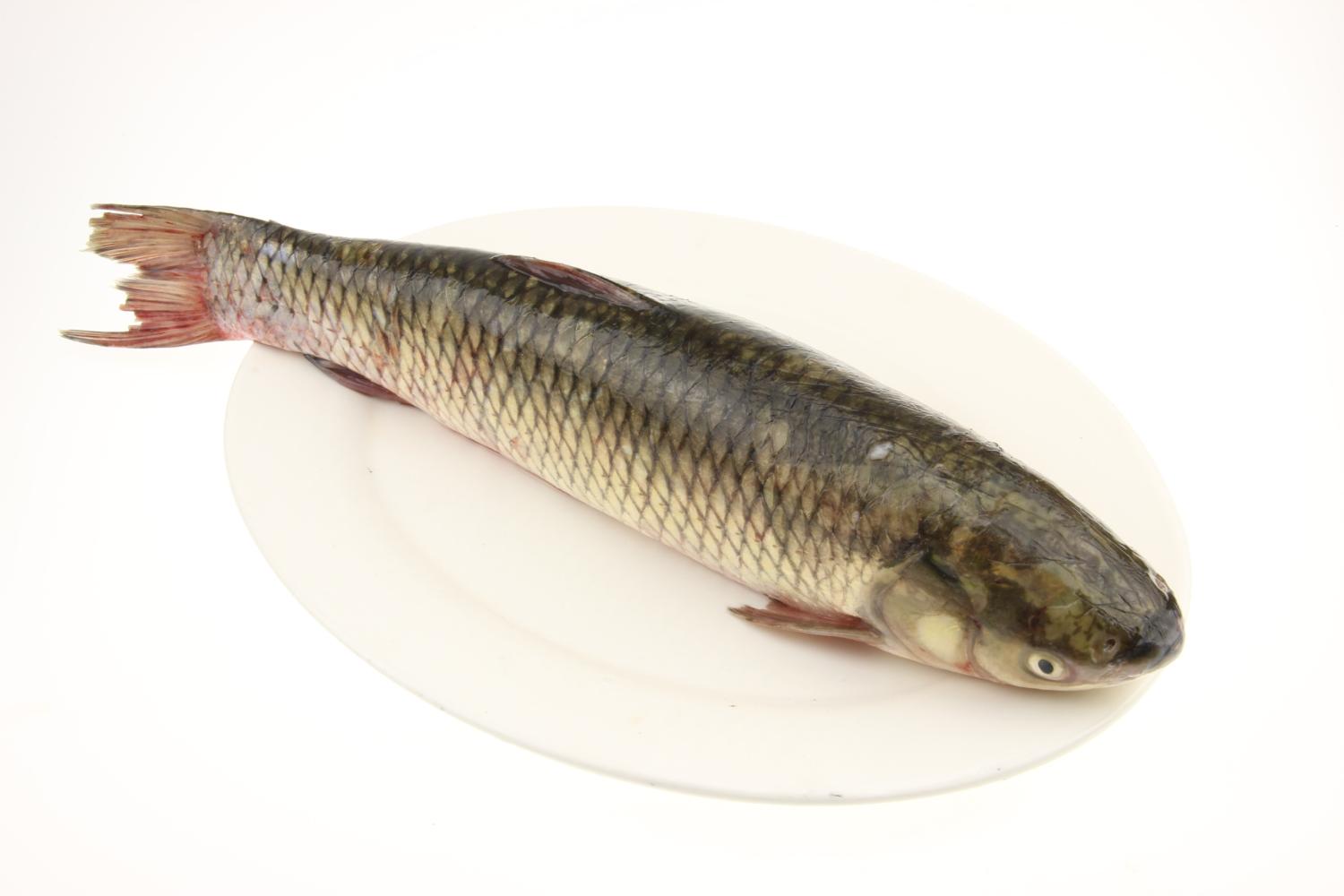 终于找到酸菜鱼的鱼片不滑嫩的原因了!原来鱼片浆制大有学问!