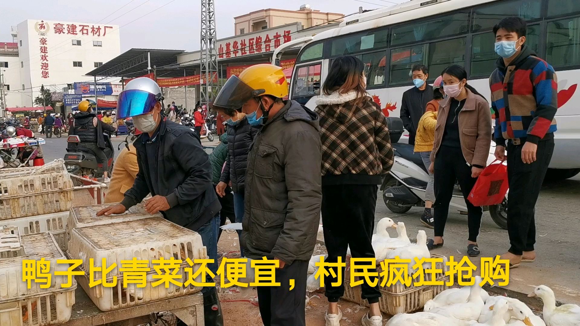 广东鸭子大降价了!竟然比青菜还便宜,这价格低到不敢相信!