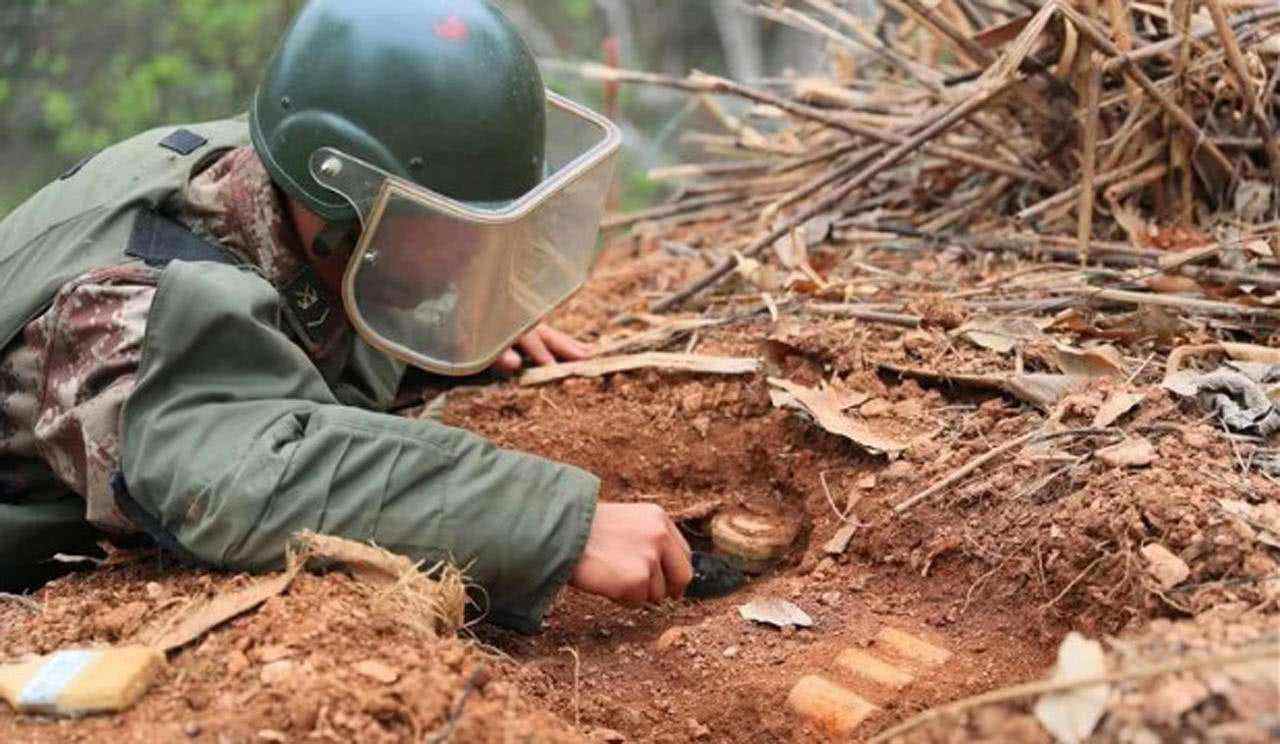 蘇聯曾在阿富汗埋下百萬顆地雷,人們為之頭疼,不料卻是老鼠立功