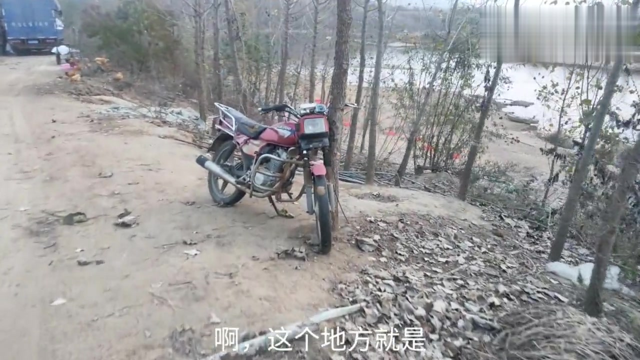 农村夫妇大河边养殖3000多蛋鸭,好水质才有好品质