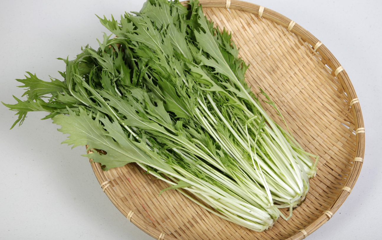 水里种植蔬菜 - 2020年最新商品信息聚合专区 - 百度爱采购