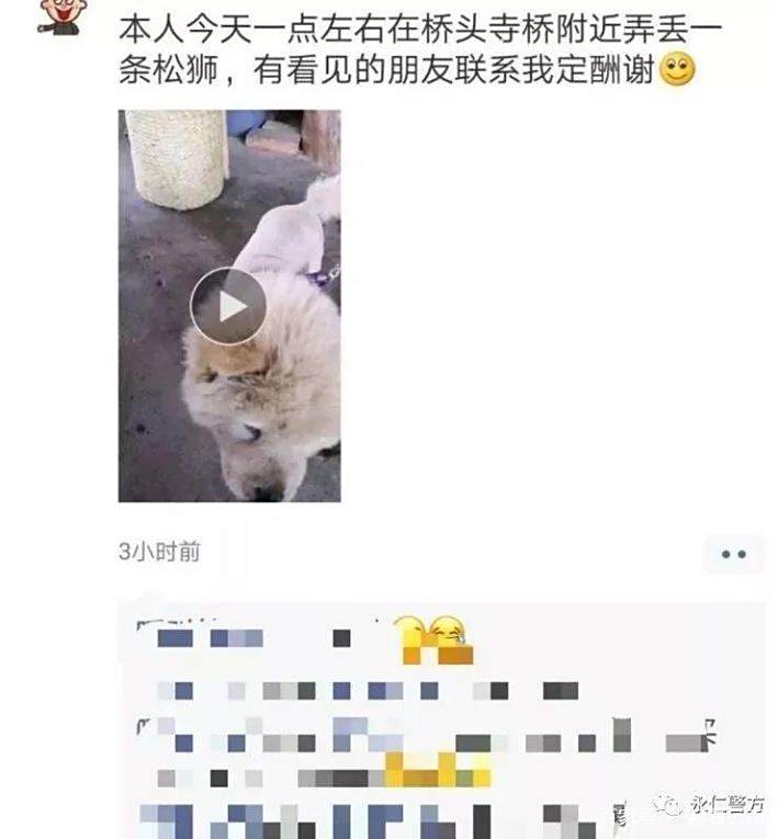 大象 雕鸮 蛇 云南版疯狂动物城?年度警情盘点丨出警遇到的动物 大象 雕鸮 蛇 云南版疯狂动物城?年度警情盘点丨出警遇到的动物