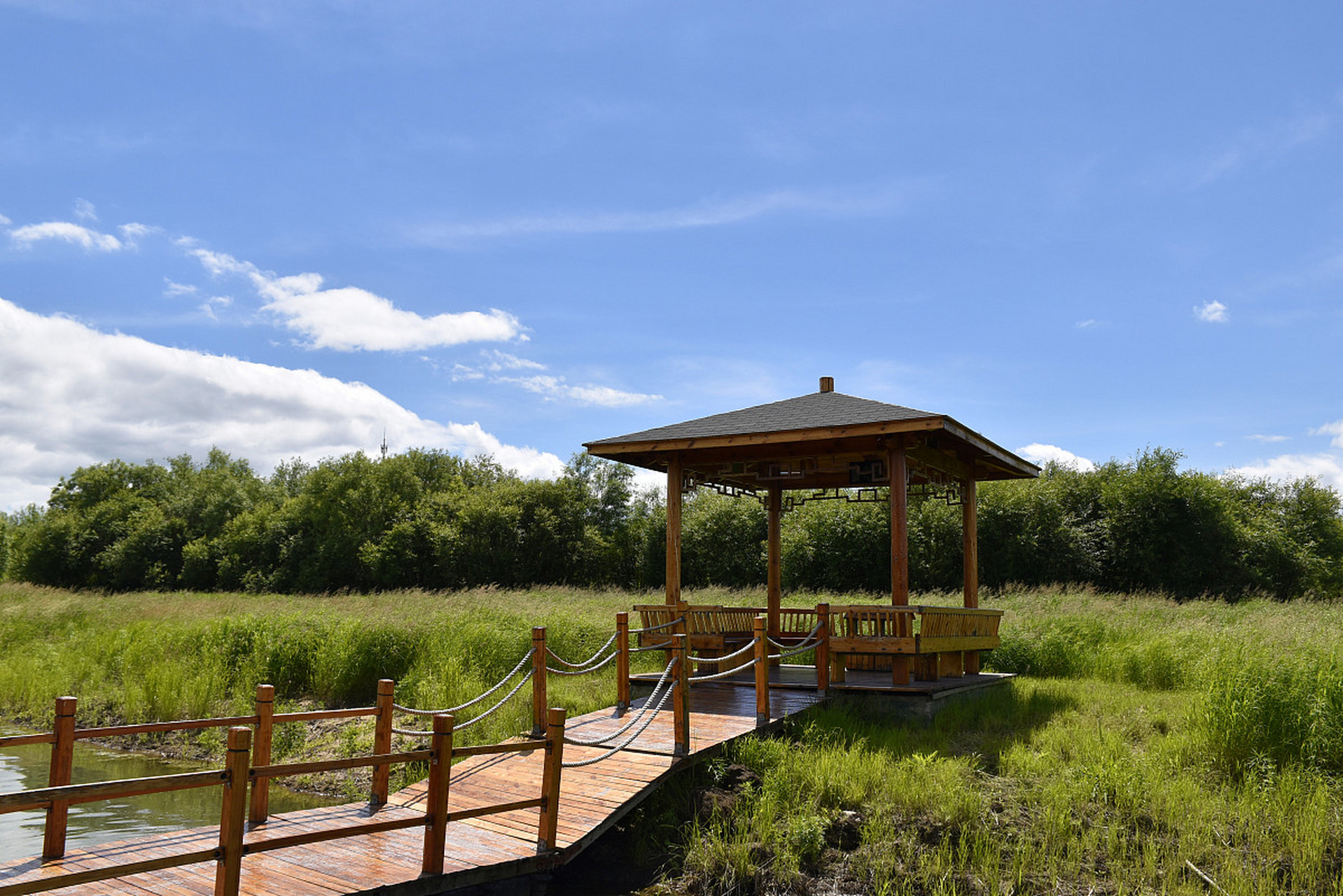 秋日,是哈巴湖生态观光旅游区的绝美季节.