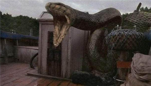 中国最大的一条"巨蛇",守护故宫已有600余年,至今无人敢动