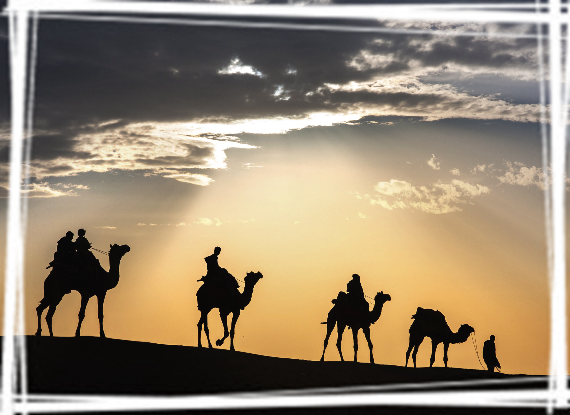 夕阳下的骆驼行人桌面壁纸