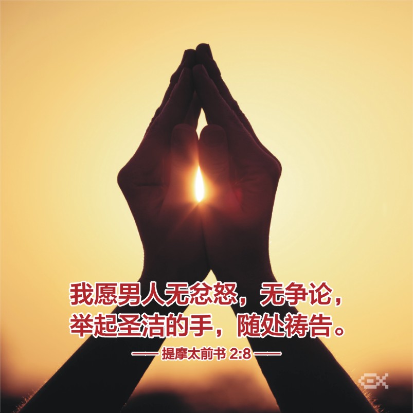 圣经金句 ‖ 举起圣洁的手随处祷告
