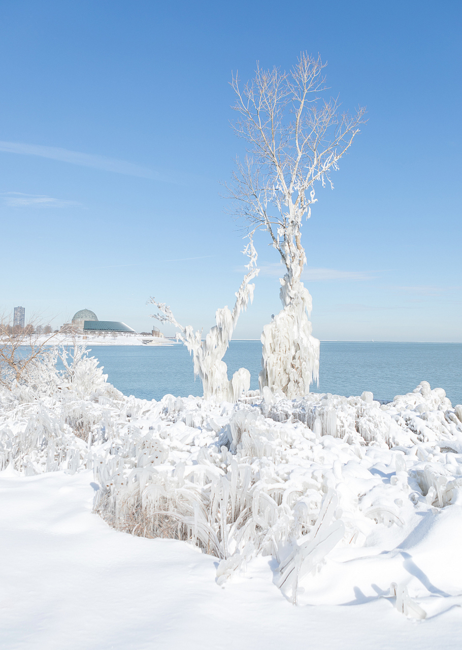 北海道雪景 唯美图片