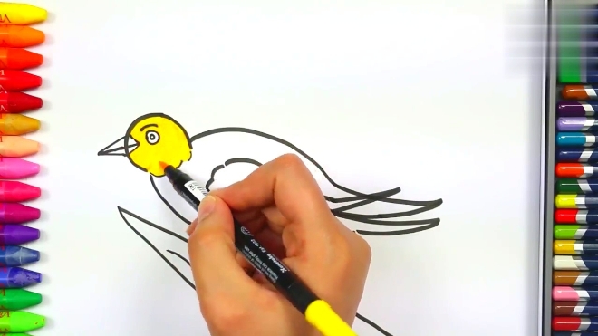 宝妈必学简笔画,画一只漂亮可爱的黄鹂鸟,培养宝宝爱心爱护动物