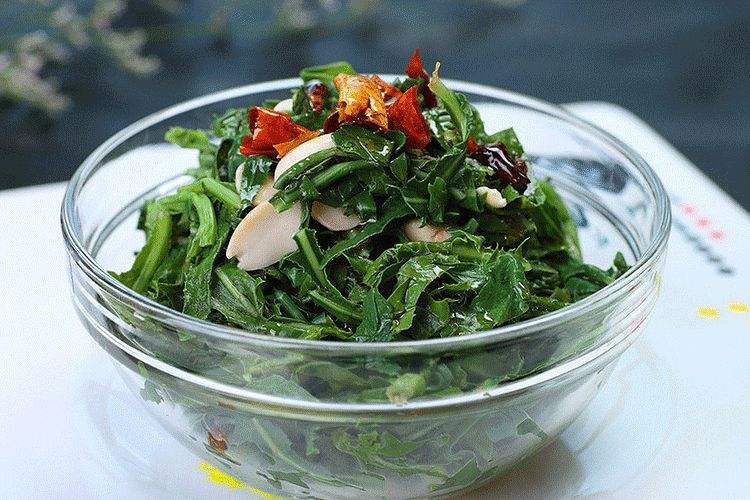 农村山上一种苦味菜,汁水似牛奶,营养价值高,养生菜的不二之选