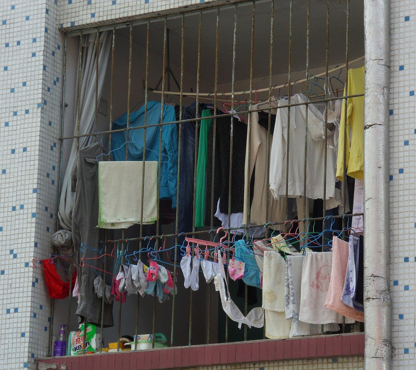 我家阳台上惊现一个粉红蕾丝边女士内裤.