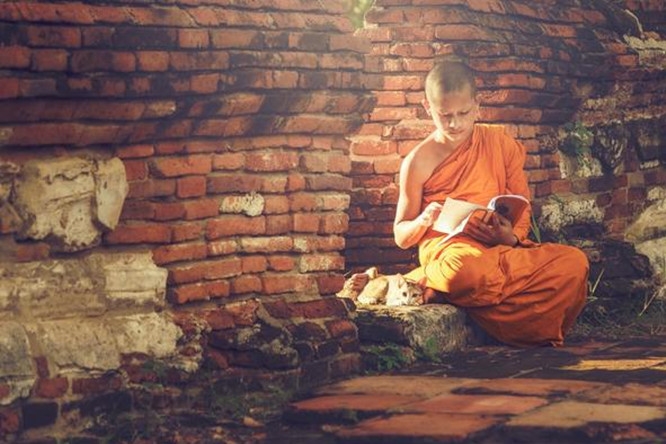 什么是渐悟?佛教中的渐悟与顿悟有何关系?