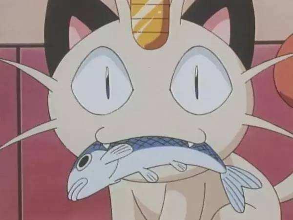 《神奇宝贝》火箭队的喵喵为不曾进化?真相与单身狗有关!