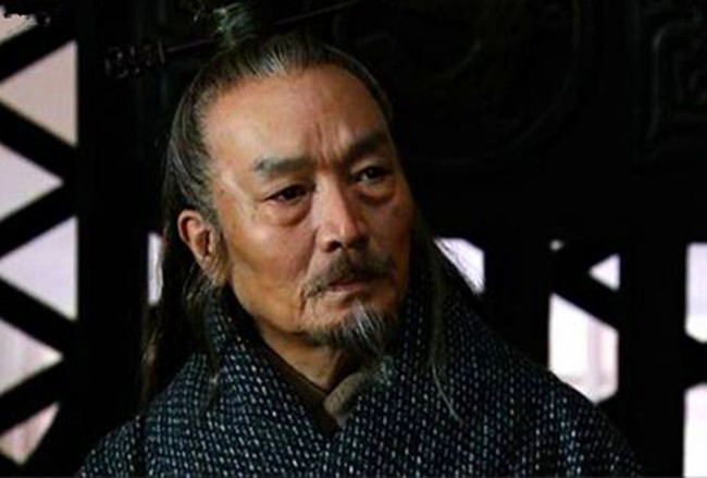 "若刘景升儿子,豚犬耳,确实是在骂人.