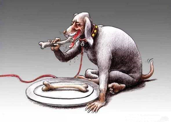 美籍华人骂中国人是猪,乱世出走狗,盛世也出走狗?