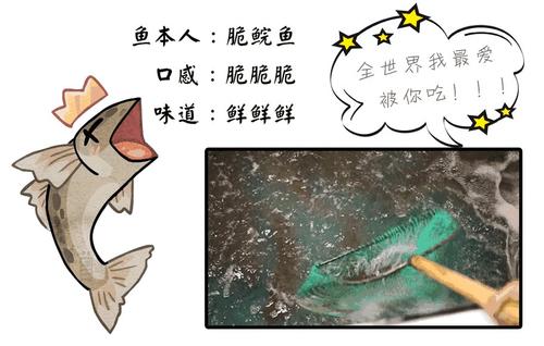 这种淡水鱼"肌肉发达",结实到连筷子都戳不入,你吃过吗?