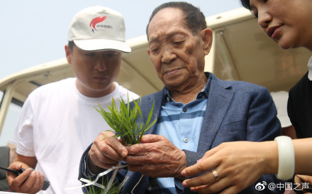 感動!88歲袁隆平牽手農村淘寶,要用