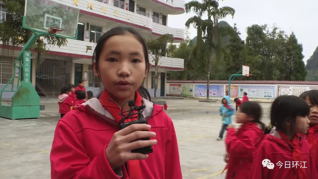 明伦镇中心小学图片